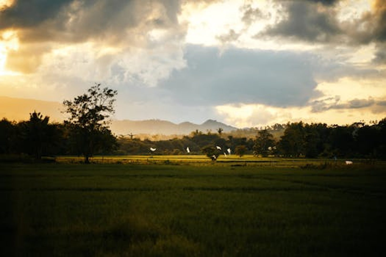 Symbol image of Zamboanga